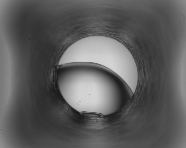X0000086970233200704161153