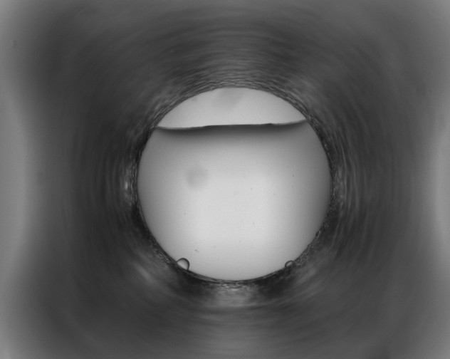 X0000086970234200704161153