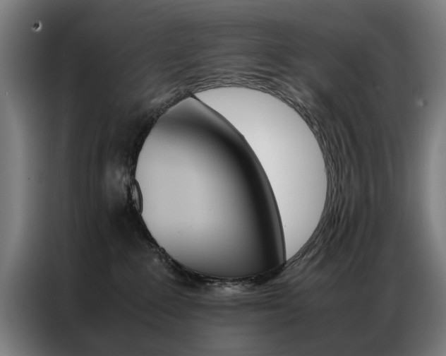 X0000086970235200704161153