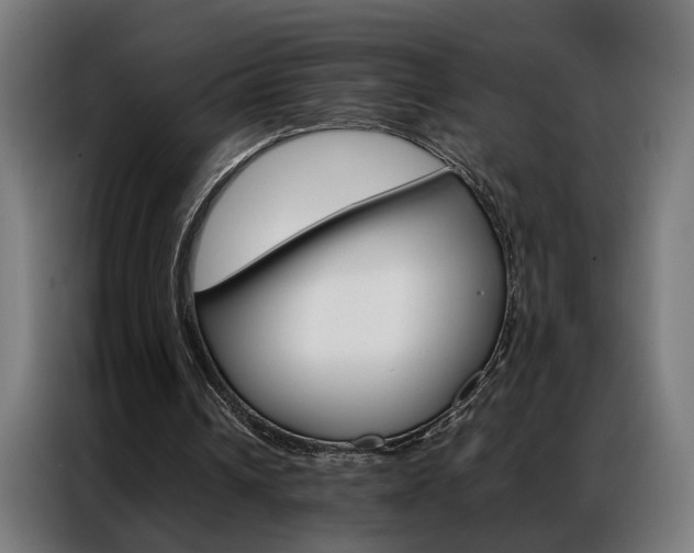 X0000086970242200704161152