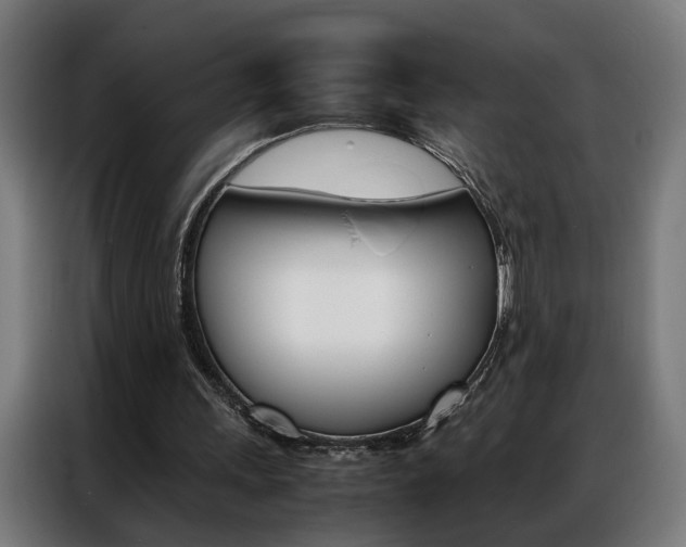 X0000086970243200704161152