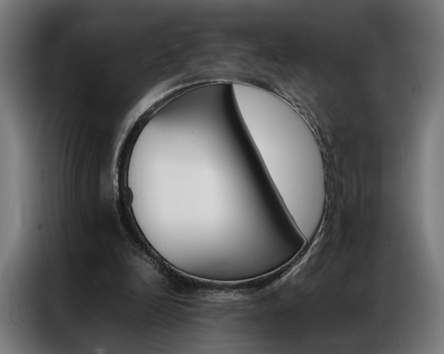 X0000086970246200704161152