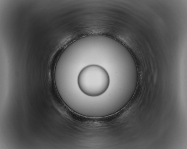 X0000086970254200704161152