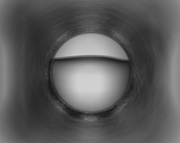 X0000086970258200704161153