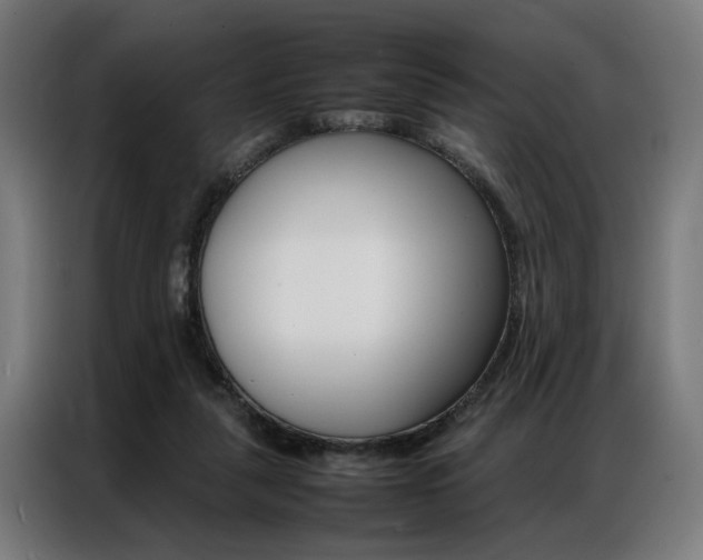 X0000086970259200704161153