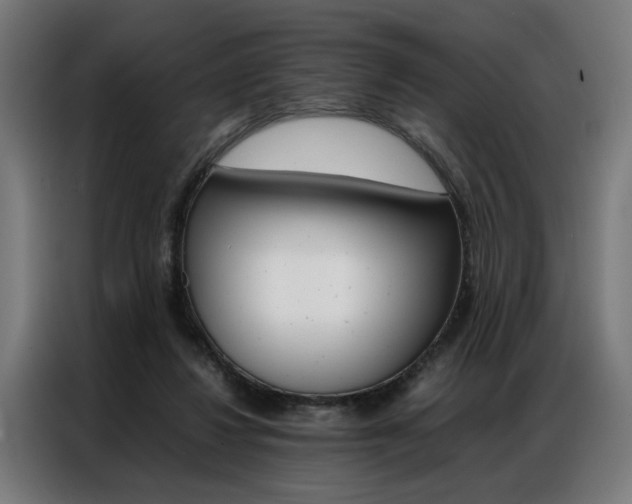 X0000086970260200704161153