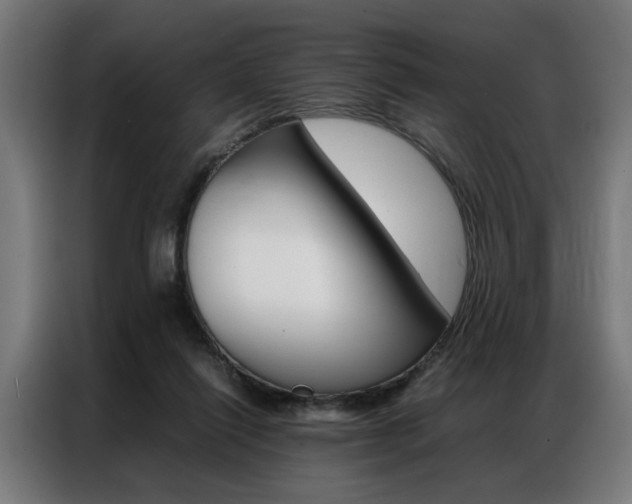 X0000086970262200704161153