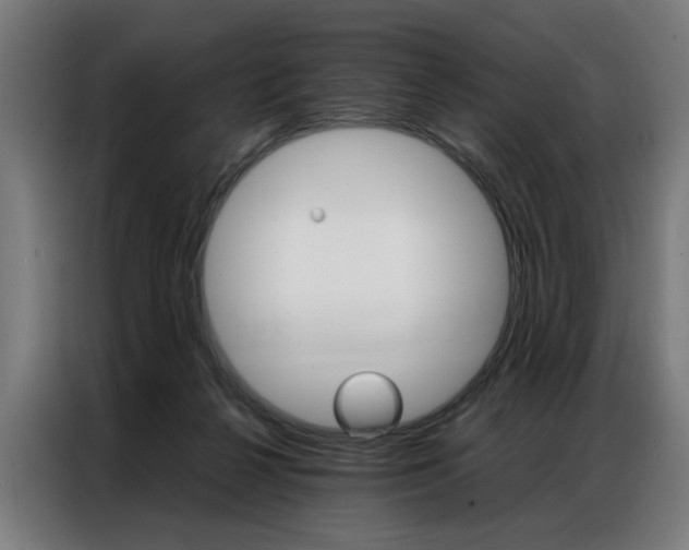 X0000086970264200704161153