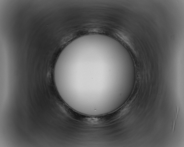 X0000086970265200704161153