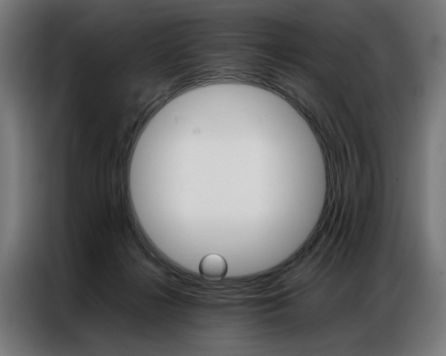 X0000086970268200704161153