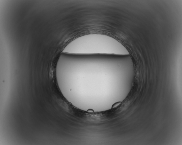 X0000086970282200704161153