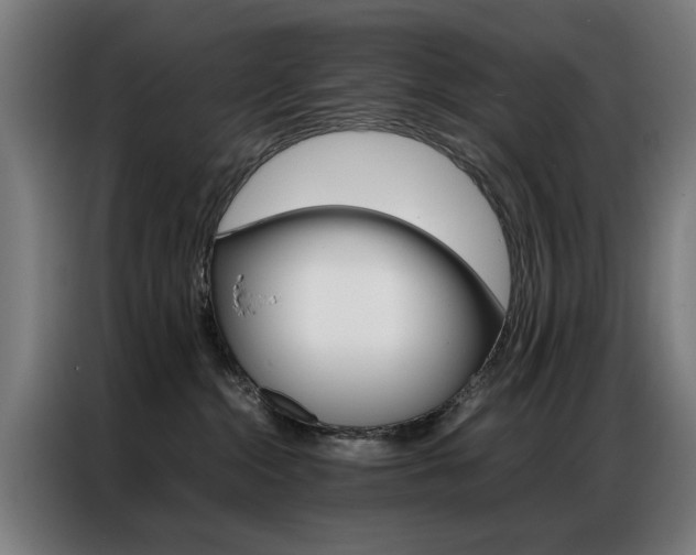 X0000086970284200704161153