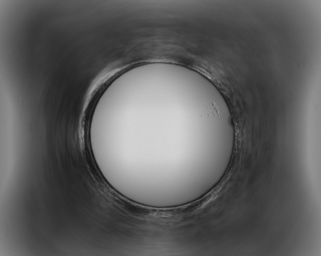 X0000086970294200704161152