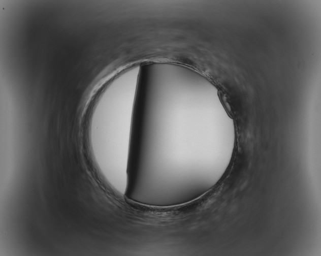 X0000086970295200704161152