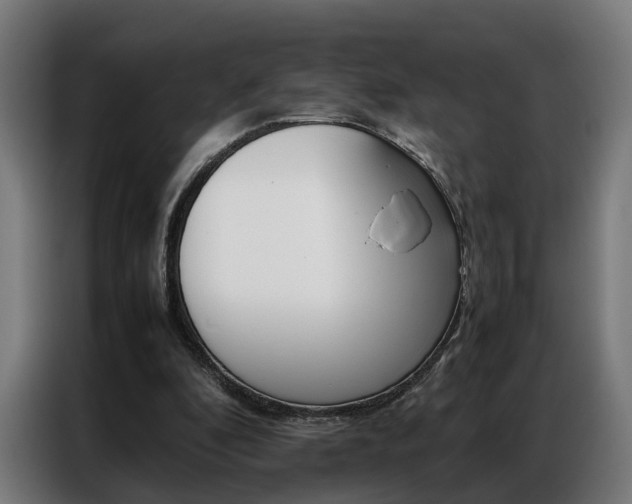 X0000086970296200704161152