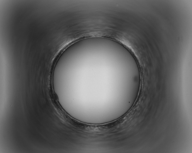 X0000086970297200704161152