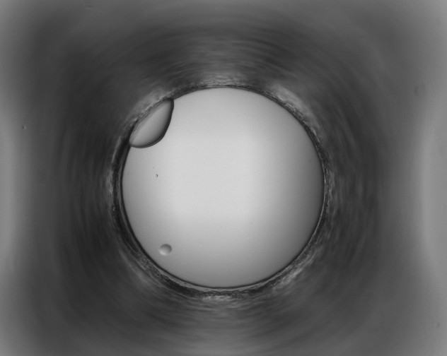 X0000086970298200704161152