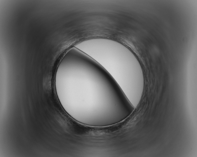 X0000086970299200704161152