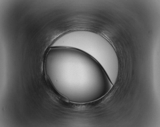 X0000086970301200704161152