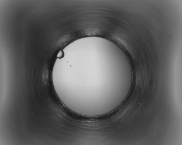 X0000086970308200704161152