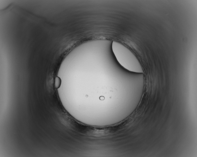 X0000086970314200704161152