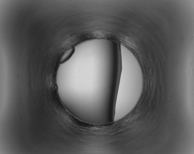 X0000086970317200704161152