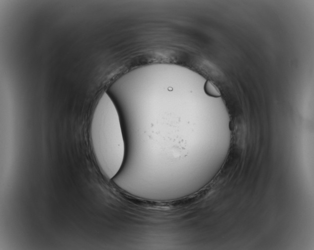 X0000086970318200704161152