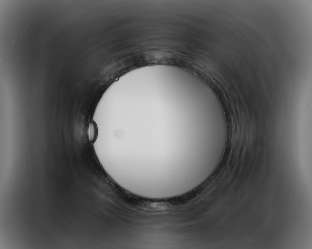 X0000086970324200704161152