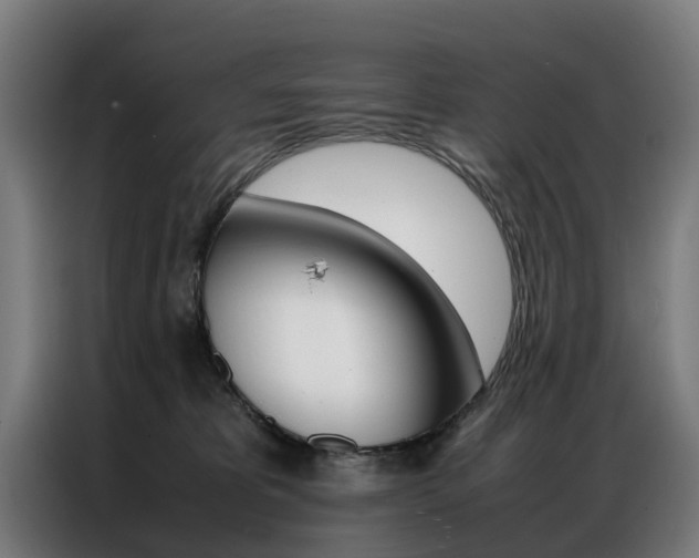X0000086970325200704161152
