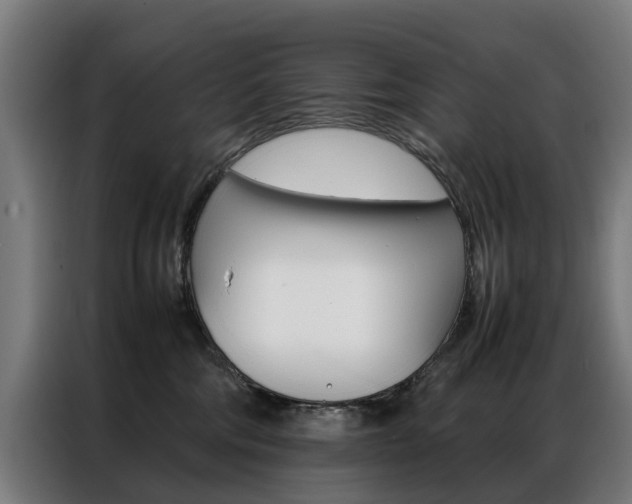 X0000086970330200704161152