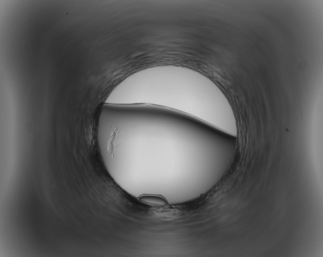X0000086970331200704161152
