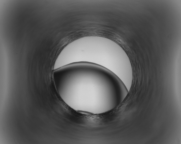 X0000086970333200704161152