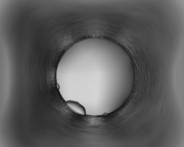 X0000086970336200704161152