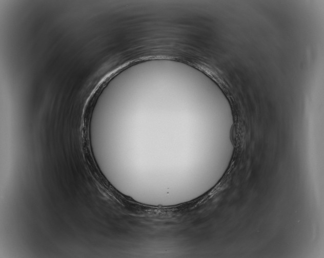 X0000086970338200704161151