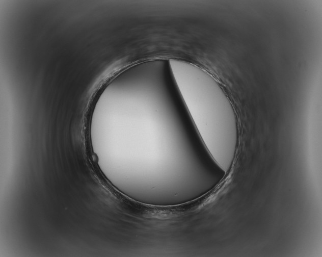X0000086970341200704161151