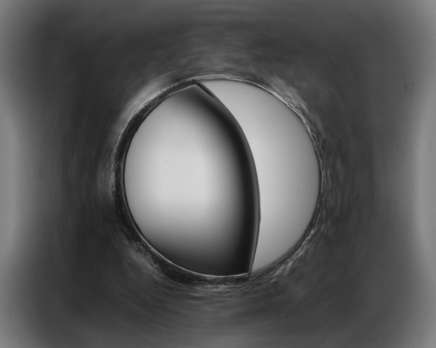 X0000086970344200704161151