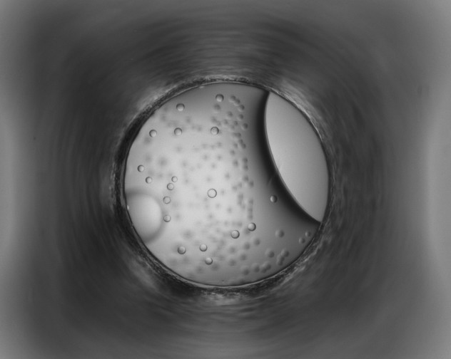 X0000086970346200704161151