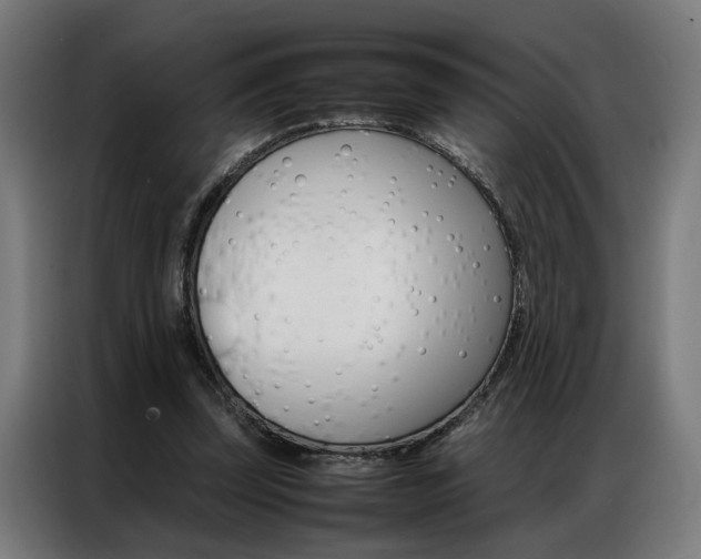 X0000086970347200704161151