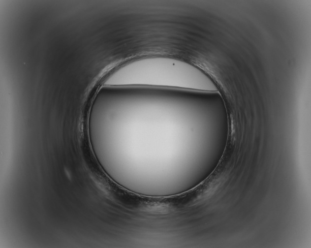 X0000086970348200704161151