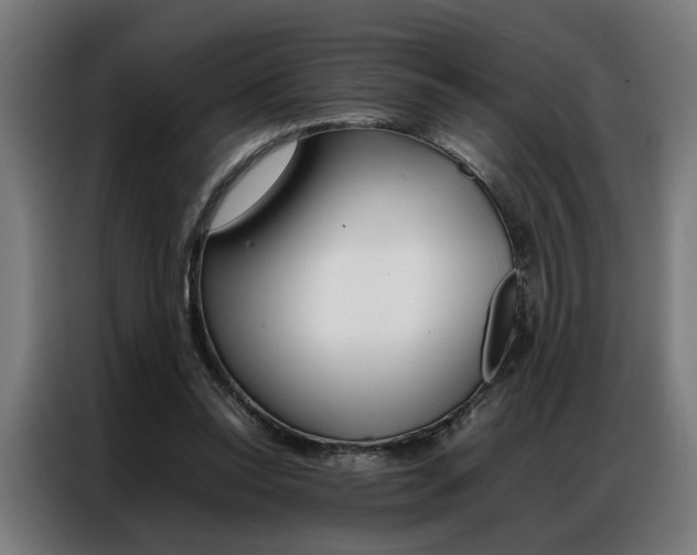 X0000086970350200704161151
