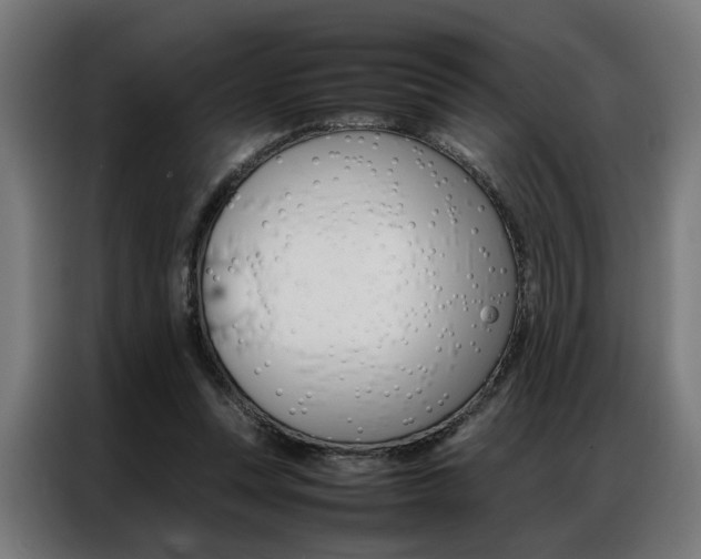 X0000086970351200704161151