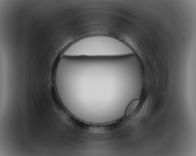 X0000086970354200704161151