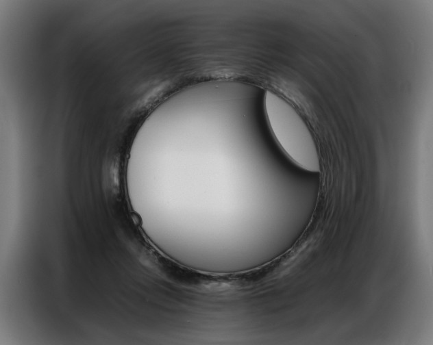 X0000086970358200704161151