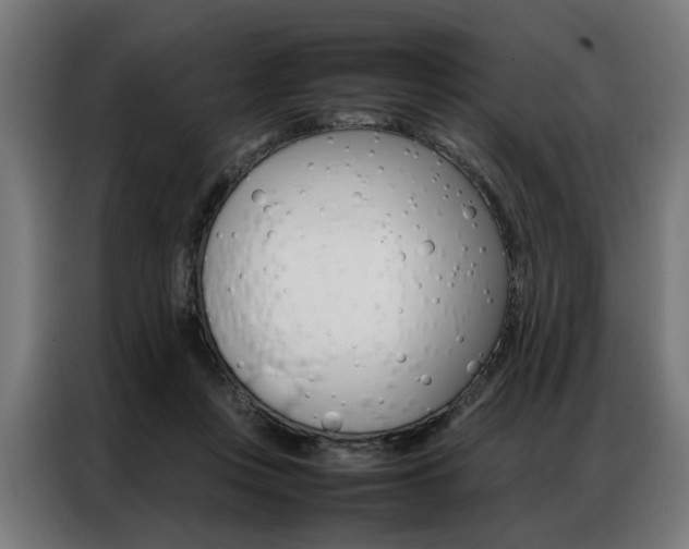 X0000086970359200704161151