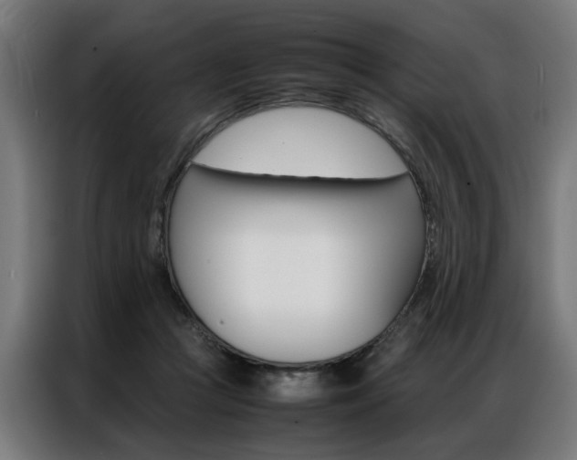 X0000086970361200704161151
