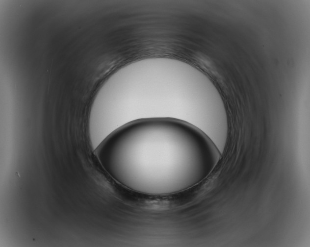 X0000086970362200704161151
