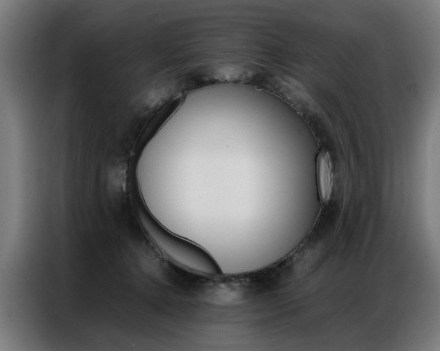 X0000086970368200704161151