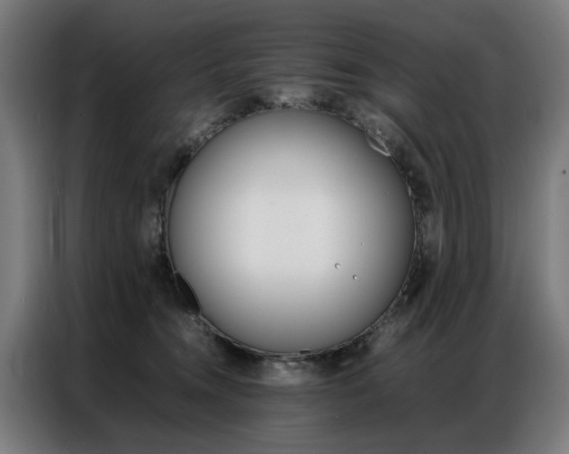 X0000086970372200704161151