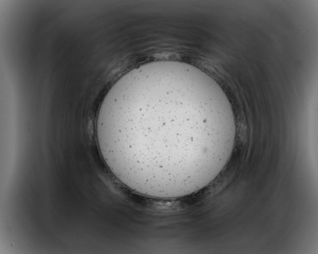 X0000086970375200704161151