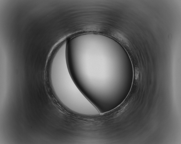 X0000086970388200704161151
